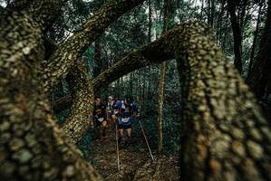 BIB: 
                            <button type="button" onclick="openModal(25675759)" class="btn btn-primary btn-sm float-right btn-popup" data-toggle="modal" data-target=".modal-high-quality">
                        <i class="fas fa-shopping-cart"></i> Add to Cart
                    </button>
                                            <button type="button" onclick="isThisMe(25675759, true)" class="btn btn-success btn-sm float-right btn-popup btn-isme hidden" data-toggle="tooltip" data-placement="bottom" title="นี่คือรูปของคุณใช่ไหม คลิกที่นี่เพื่อเอาเข้าอัลบั้ม">
                        <i class="fas fa-plus"></i> Add to album
                    </button>
                    <button type="button" onclick="isThisMe(25675759, false)" class="btn btn-warning btn-sm float-right btn-popup btn-isnotme hidden">
                        <i class="fas fa-ban"></i> Remove from album
                    </button>